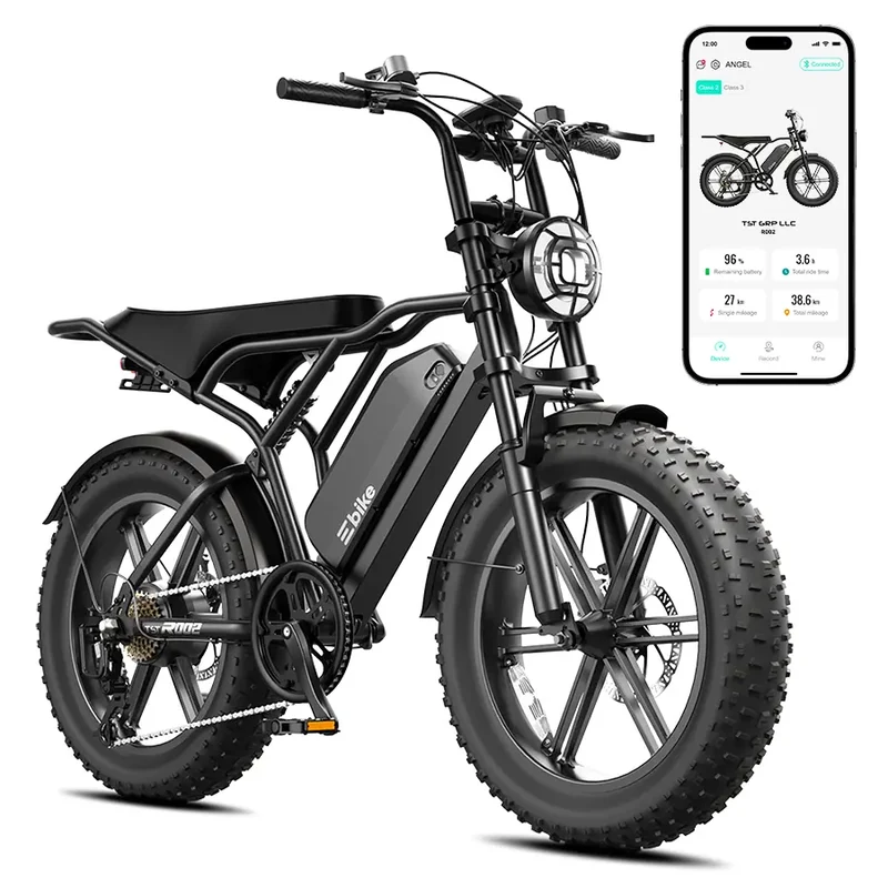 Bicicleta TST R002 1500W — vista general, imagen 9